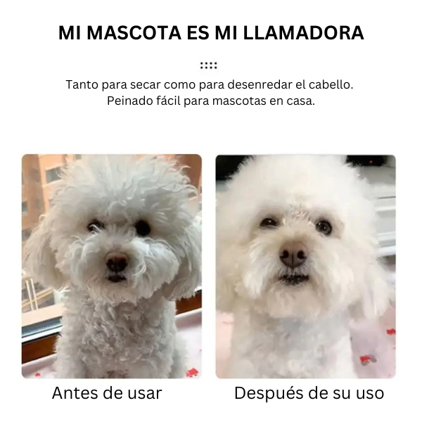 cepillo secador para mascotas